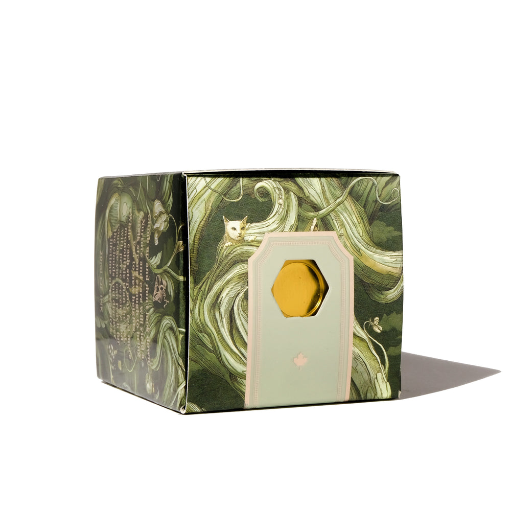 Once Upon a Time | Brilliant Beanstalk