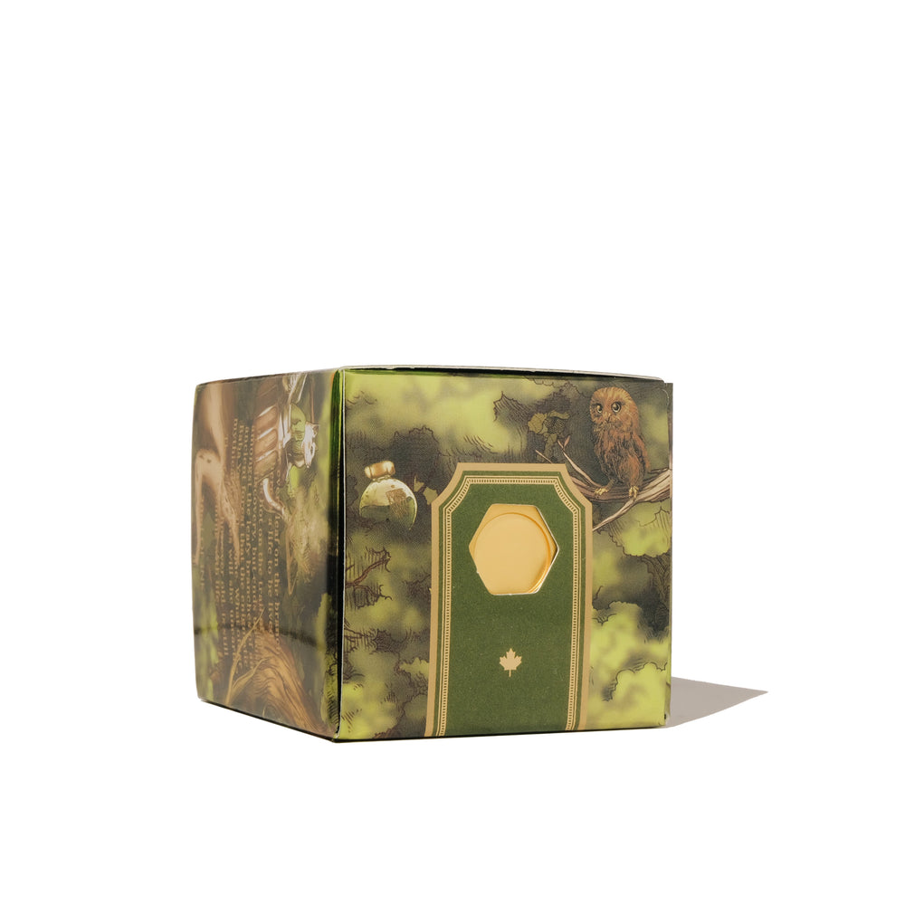 Bestiary Series | Lost in the Leaves